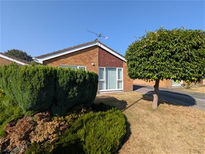Picture 16
